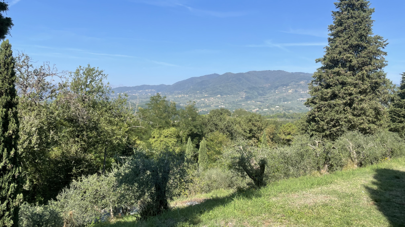 Frukost och middag, Vandringsdag