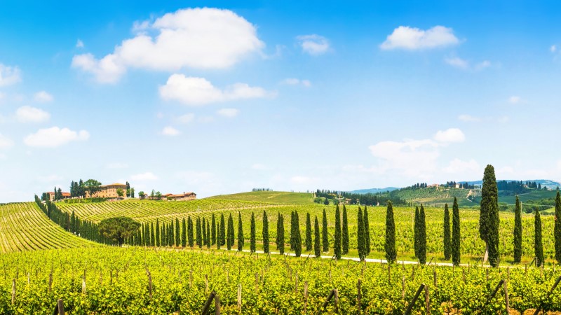 Frukost, Vandringsdag